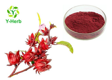 Hibiscus Sabdariffa Extract Powder Ruselle Roselle Calyx P.E.  Anthocyanins
