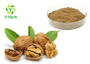 Natural Semen Juglandis Walnut Hull Powder 10:1 100:1 Black Walnut Kernel Extract