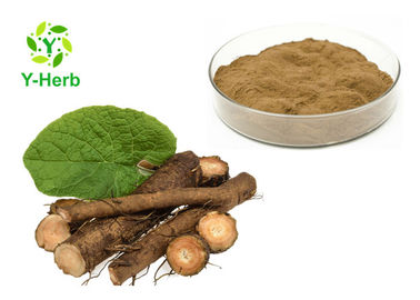 Great Burdock Root Herbal Extract Powder P.E. Arctigenin 10%-40% Arctiin Powder