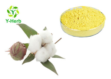 98% Acetate Gossypol Cotton Seed Extract Powder CAS 12542-36-8 2 Years Shelf Life