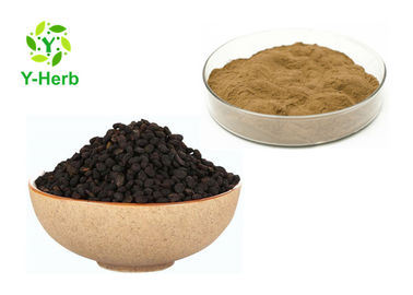 TLC Test Method Malaytea Scurfpea Fruit Extract Yellow Brown Fine Powder
