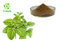 100% Pure Natural Melissa Officinalis Leaf Powder Lemon Balm Extract