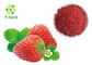 100% Pure Fresh Fruit Freeze Dried Powder Lyophilized Strawberry Powder
