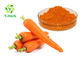 1%-30% Vegetable Extract Powder Beta Carotene Carrot Extract Carotenoids Powder