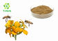 Pure Green Propolis Powder In Bulk Nutrition Supplement Water Soluble