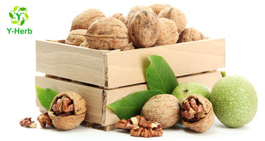 Natural Semen Juglandis Walnut Hull Powder 10:1 100:1 Black Walnut Kernel Extract