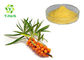 Healthy Seabuckthorn Powdered Fruit Juice Concentrate Sea Buckthorn Berry Extract