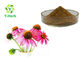 Organic Polyphenol/Chicoric Acid/Echinacoside Echinacea Purpurea Extract Powder