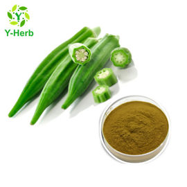 Okra Extract Sexual Enhancement Ingredients Dried Seed Flower Fruit Herbal Viagra