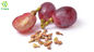 Organic Grape Seed Extract Powder Proanthocyanidins 95% OPC Polyphenols 70% Procyanidine