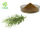 Rosemary Herbal Extract Powder Rosmarinic Acid 10% 20% Ursolic 25% Carnosic Acid 5%-98%
