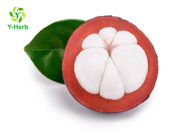 Food Herbal Extract Powder Pure Mangosteen Whole Fruit Powder Pink Color
