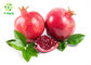 Spray Dried Instant Fresh Pomegranate Juice Concentrate Powder 100% Water Soluble